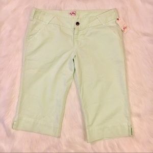 NEW Joie Mint bermuda shorts  size 30